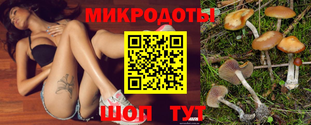 что такое наркотик  Галлюциногенные грибы Psilocybe  Галлюциногенные грибы Cubensis  Вход с VPN  Выкса 